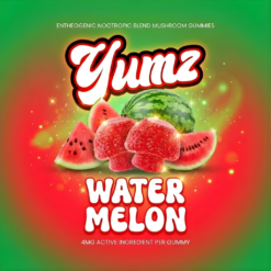 YUMZ - Watermelon ( Magic Nootropic Gummies )